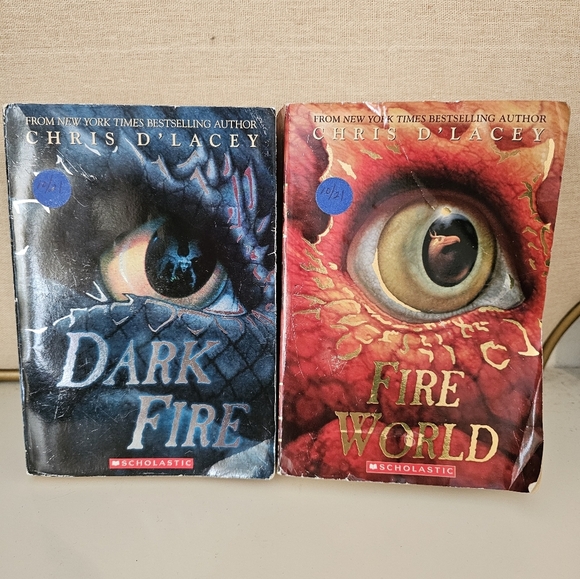 Last Dragon Chronicles 6 book series Chris D'Lacey - Picture 4 of 4